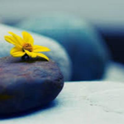 Cultivar a esperança e a confiança - Mensagem Padre Nilson José dos Santos da Paróquia São Luiz Gonzaga em Volta Redonda, Rio de Janeiro