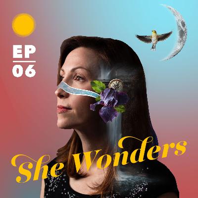 Season 2: Daydreaming to Groundbreaking