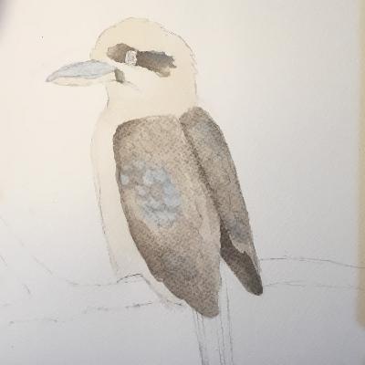 Watercolour Kookaburra Part 1