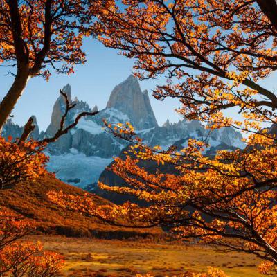 Dumbo 2019 Vs Dumbo 1941 ¿Que esperar?