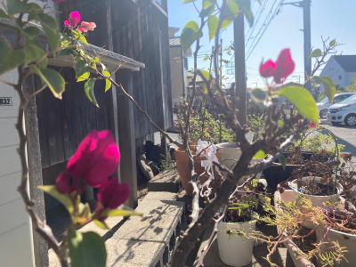 2025.11/15 エネルギーをあげると from Radiotalk