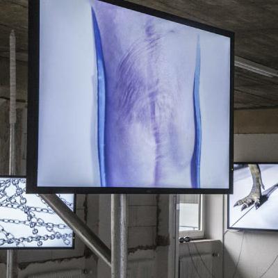 Robin Niklas Höke führt durch die Ausstellung: Do we need fiction to create reality?