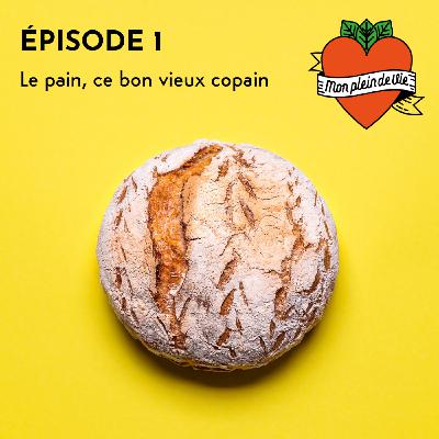 LE PAIN, CE BON VIEUX COPAIN