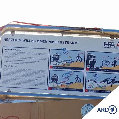 Keine Angst vor dem Kälteschock: Eisbaden in der Elbe