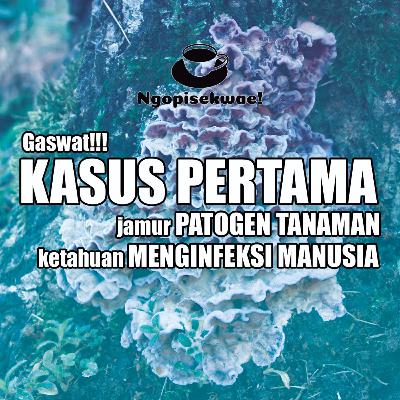 Kasus pertama!!! JAMUR KAYU menginfeksi MANUSIA!!!