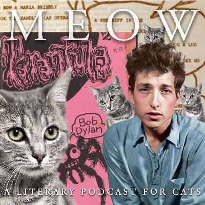 40. A Complete Unknown: Bob Dylan's Forgotten Avant-Garde Novel, Tarantula