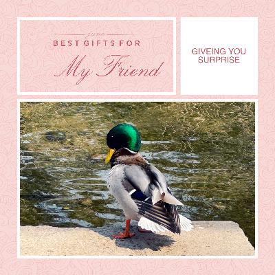 vol. 88 《我,许可》(含剧透,另有三部作品推荐) vol. 88 《我,许可》(含剧透,另有三部作品推荐)