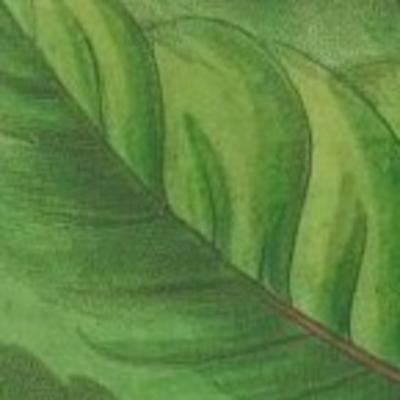 Eps. 8 : Kutemukan Diriku