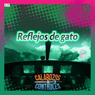 E165 - Reflejos de gato