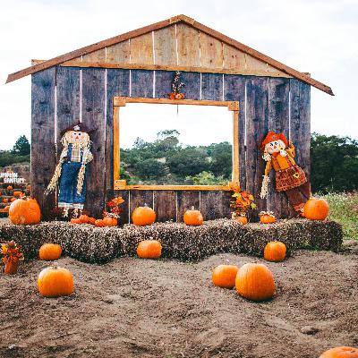 59. 秋季庆典 | Fall Festivals 59. 秋季庆典 | Fall Festivals