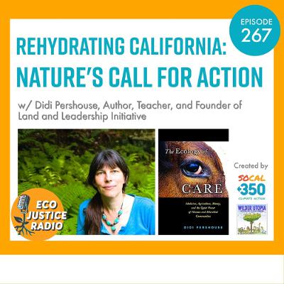 Rehydrating California: Nature's Call for Action