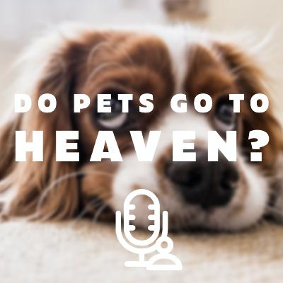Do pets go to Heaven?