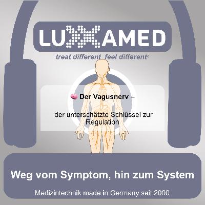 Der Vagusnerv Der Vagusnerv