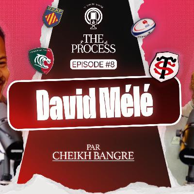 David Mélé - De joueur professionnel à coach au Stade Toulousain - La reconversion après le rugby