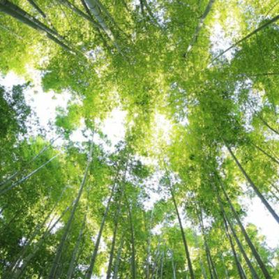 Episode 22: Portamento On Air #22 Episode 22: Portamento On Air #22