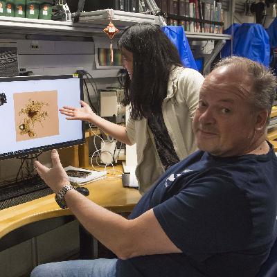 Waterplantje Azolla als grote klimaatkoeler. Met geoloog en ex-NIOZ-directeur Henk Brinkhuis Waterplantje Azolla als grote klimaatkoeler. Met geoloog en ex-NIOZ-directeur Henk Brinkhuis