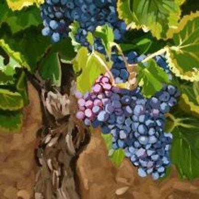 September 20, 2020 Worship Service