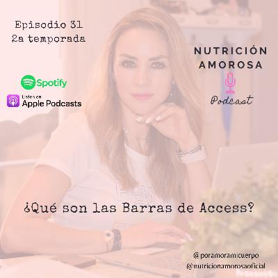 E31 T2 - ¿Qué son las Barras de Access? E31 T2 - ¿Qué son las Barras de Access?