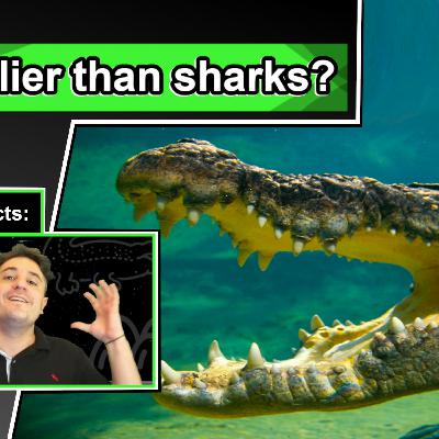 Saltwater Crocodile Facts | 10 Animal Facts about Saltwater Crocodiles Saltwater Crocodile Facts | 10 Animal Facts about Saltwater Crocodiles