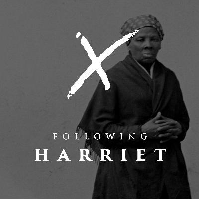 Introducing 'Following Harriet' Introducing 'Following Harriet'