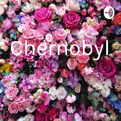 The Chernobyl Accident