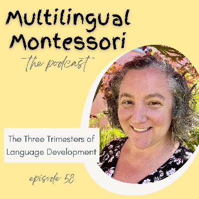 58. The Three Trimesters of Language Development