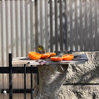 税金(所得税)を取り戻せ!! 過年度分の確定申告 税金(所得税)を取り戻せ!! 過年度分の確定申告