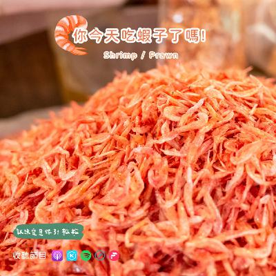 EP91 蝦子 🦐 海底世界的清道夫 🧹 櫻花蝦的浪漫傳說故事 🩷📚 (本集有抽獎)
