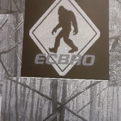 RANDOM THEORIES OF BIGFOOT RANDOM THEORIES OF BIGFOOT