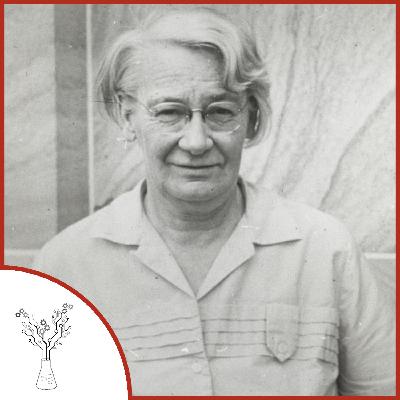 Dorothy Hill