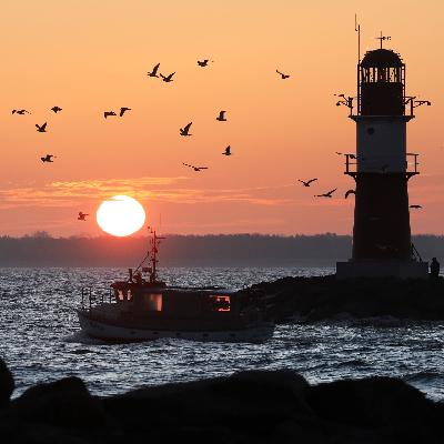 Greenpeace: Fische aus Nord- und Ostsee mit PFAS belastet