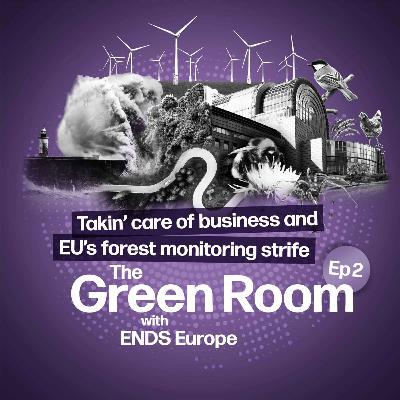Takin’ care of business and EU’s forest monitoring strife