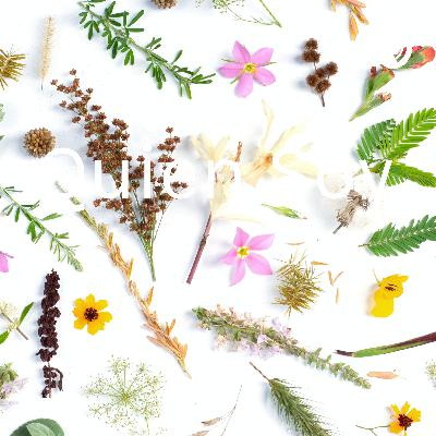 Redefiniendo el campo laboral de la pedagogía