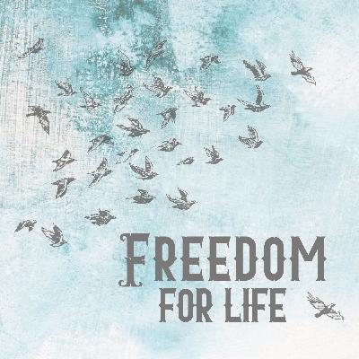 Spirit Led, Not Emotions Led Spirit Led, Not Emotions Led