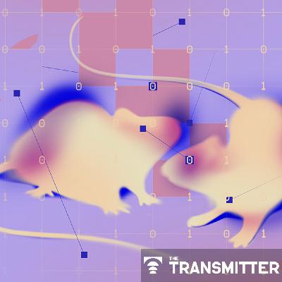 How artificial agents can help us understand social recognition