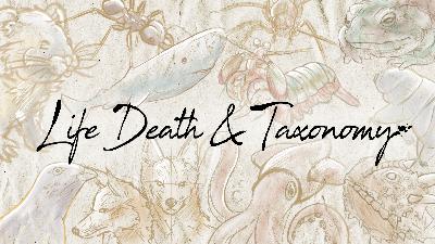 Episode 396 – African Buffalo: Seen and Herd