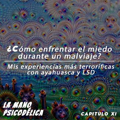 XI. Mis experiencias más terroríficas con Ayahuasca y LSD: ¿Cómo enfrentar el miedo en un malviaje? XI. Mis experiencias más terroríficas con Ayahuasca y LSD: ¿Cómo enfrentar el miedo en un malviaje?