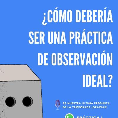 Práctica de observación ideal Práctica de observación ideal