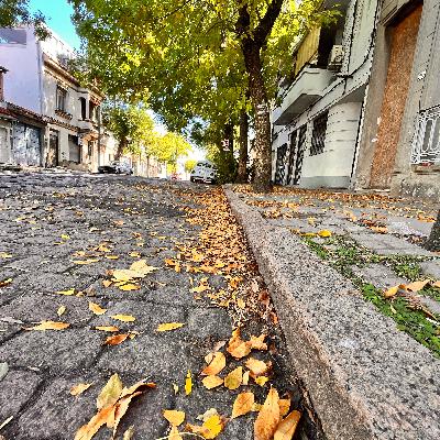 El armario de Elizabeth Motta El armario de Elizabeth Motta