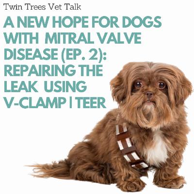 A New Hope For Dogs With Mitral Valve Disease (Episode 2): Repairing the Leak Using TEER V-Clamp | Twin Trees Vet Talk (PODCAST)