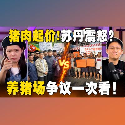 雪州养猪场风波惹怒苏丹？食安危机恐酿种族课题？【#新闻随便看 17/1】
