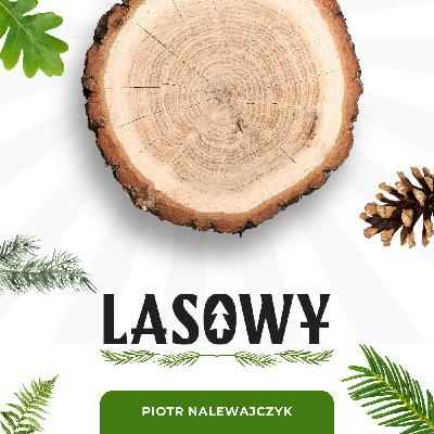 11: Idziemy do lasu! O czym warto pamietać i jak się przyszykować?