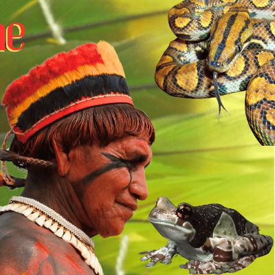 Spirits in the Amazon: Life, Death, Ritual & Mythology of Remote Indigenous Tribes of Brazil (Xingú)