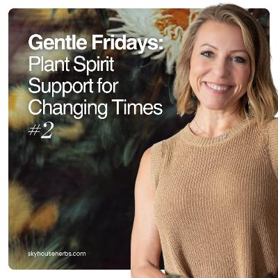 Gentle Fridays: Plant Spirit Support for Changing Times #2