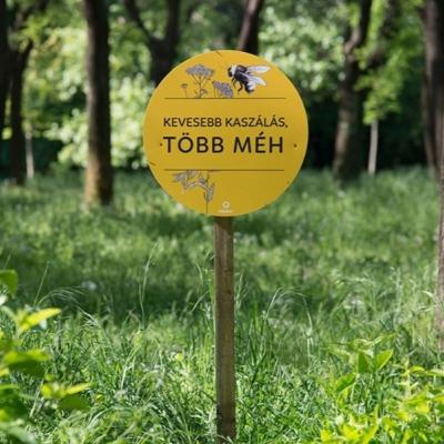 Zöldebb a tavasz Budapesten – de hogyan? Zöldebb a tavasz Budapesten – de hogyan?