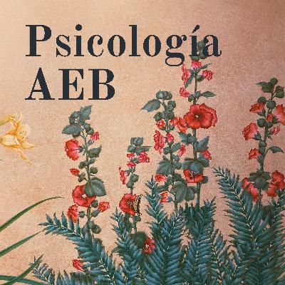 Enfoque Humanista AEB