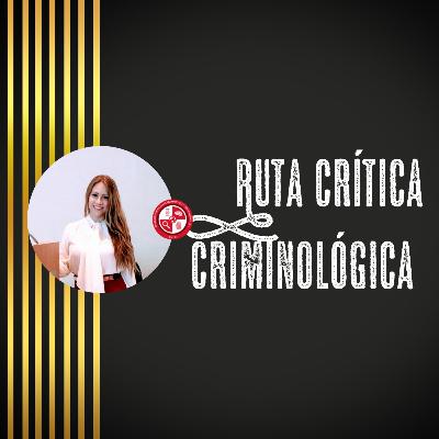Las clases de criminología según López Rey