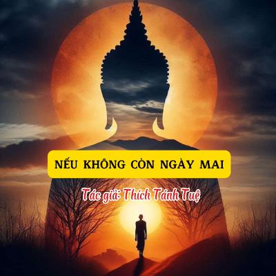 Nếu không còn ngày mai - Đường về tỉnh thức #06