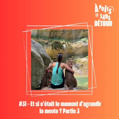Ep 31 - Et si c’était le moment d’agrandir la meute ? Partie 3