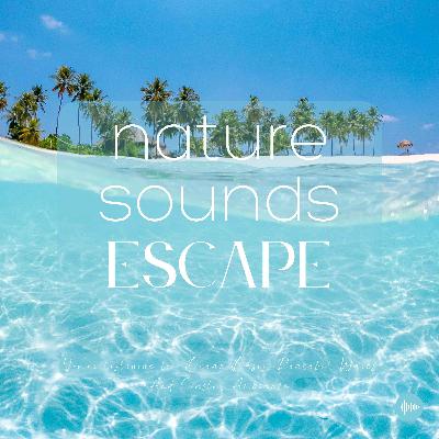 Ocean Oasis, Peaceful Waves & Coastal Ambiance | Relaxing Nature Sounds For Sleep, Meditation, Relaxation, Studying Or Focus | Sleep Music, Sleep Sounds, Ocean, Study Music, Zen, Sleep Fast, White Noise, Música Relajante Para Dormir
